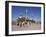 Kadoumia Mosque, Baghdad, Iraq, Middle East-Nico Tondini-Framed Photographic Print