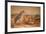 Kagu (Rhinochetus Jubatus), C.1851-76-Joseph Wolf-Framed Giclee Print