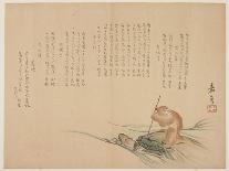 Monkey Riding on a Turtle, C.1818-29-Kagyo-Mounted Giclee Print