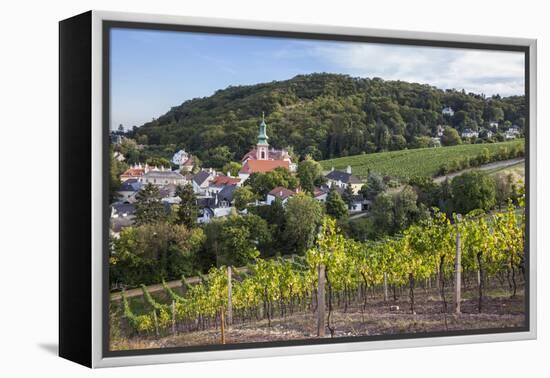 Kahlenbergerdorf, 19th Area, Dšbling, Vienna, Austria-Gerhard Wild-Framed Premier Image Canvas