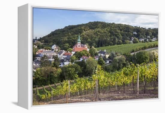 Kahlenbergerdorf, 19th Area, Dšbling, Vienna, Austria-Gerhard Wild-Framed Premier Image Canvas