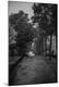 Photographic Print