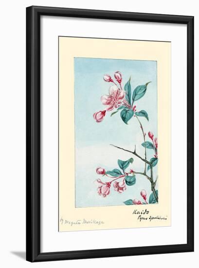 Kaido Pyrus Spectabalis-Megata Morikaga-Framed Art Print