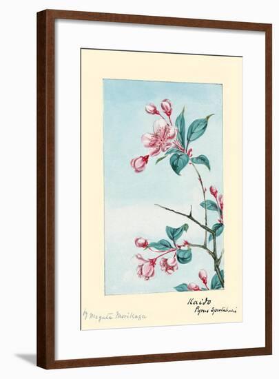 Kaido Pyrus Spectabalis-Megata Morikaga-Framed Art Print