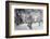 Kaiser Wilhelm at the Crown Prince's headquarters, 1914-5-null-Framed Photographic Print