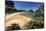 Kaiteriteri Beach, Kaiteriteri, Nelson Region, South Island, New Zealand, Pacific-Stuart Black-Mounted Photographic Print