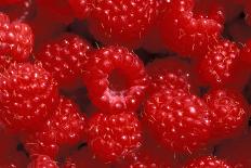 Raspberries-Kaj Svensson-Photographic Print