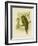 Kakapo, 1891-Gracius Broinowski-Framed Giclee Print