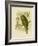 Kakapo, 1891-Gracius Broinowski-Framed Giclee Print