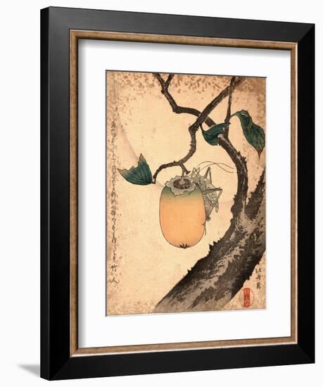 Kaki Ni Kirigirisu-Katsushika Hokusai-Framed Giclee Print