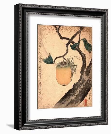 Kaki Ni Kirigirisu-Katsushika Hokusai-Framed Giclee Print