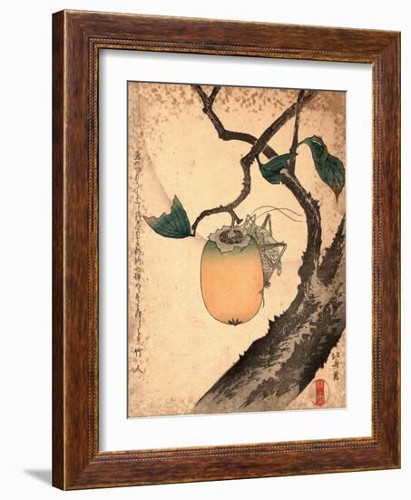 Kaki Ni Kirigirisu-Katsushika Hokusai-Framed Giclee Print