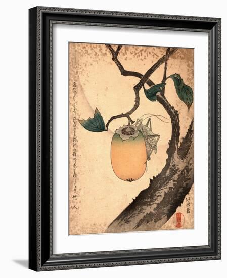 Kaki Ni Kirigirisu-Katsushika Hokusai-Framed Giclee Print