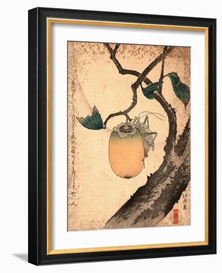 Kaki Ni Kirigirisu-Katsushika Hokusai-Framed Giclee Print