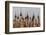 Kakku Pagoda Complex, Shan State, Myanmar (Burma), Asia-Colin Brynn-Framed Photographic Print