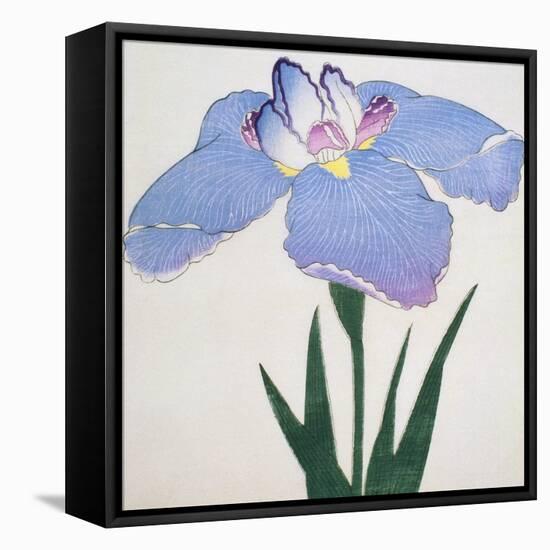 Kaku Jaku Ro Book of a Blue Iris-Stapleton Collection-Framed Premier Image Canvas