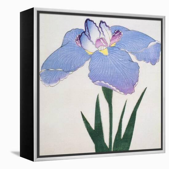 Kaku Jaku Ro Book of a Blue Iris-Stapleton Collection-Framed Premier Image Canvas