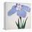 Kaku Jaku Ro Book of a Blue Iris-Stapleton Collection-Framed Premier Image Canvas