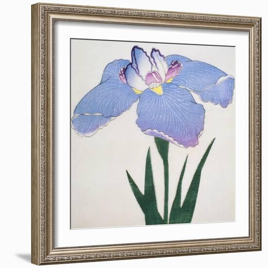 Kaku Jaku Ro Book of a Blue Iris-Stapleton Collection-Framed Giclee Print