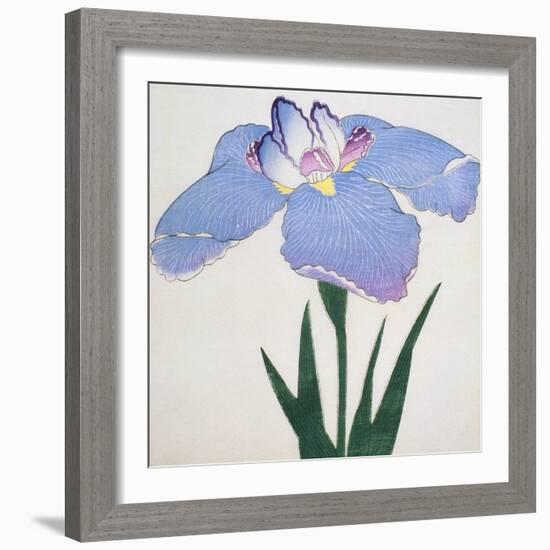 Kaku Jaku Ro Book of a Blue Iris-Stapleton Collection-Framed Giclee Print