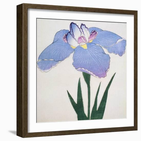 Kaku Jaku Ro Book of a Blue Iris-Stapleton Collection-Framed Giclee Print