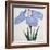 Kaku Jaku Ro Book of a Blue Iris-Stapleton Collection-Framed Giclee Print