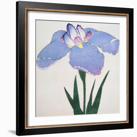 Kaku Jaku Ro Book of a Blue Iris-Stapleton Collection-Framed Giclee Print