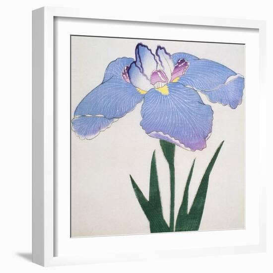 Kaku Jaku Ro Book of a Blue Iris-Stapleton Collection-Framed Giclee Print