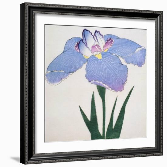 Kaku Jaku Ro Book of a Blue Iris-Stapleton Collection-Framed Giclee Print