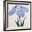 Kaku Jaku Ro Book of a Blue Iris-Stapleton Collection-Framed Giclee Print