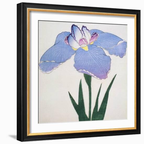 Kaku Jaku Ro Book of a Blue Iris-Stapleton Collection-Framed Giclee Print