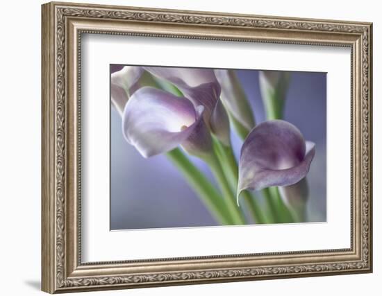 Kala-Heidi Westum-Framed Photographic Print