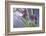 Kala-Heidi Westum-Framed Photographic Print