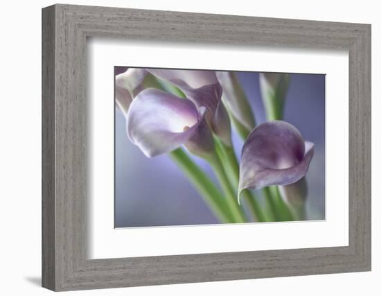 Kala-Heidi Westum-Framed Photographic Print