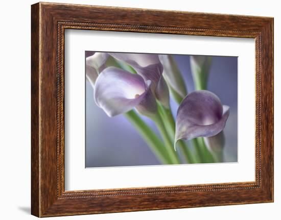 Kala-Heidi Westum-Framed Photographic Print