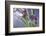 Kala-Heidi Westum-Framed Photographic Print