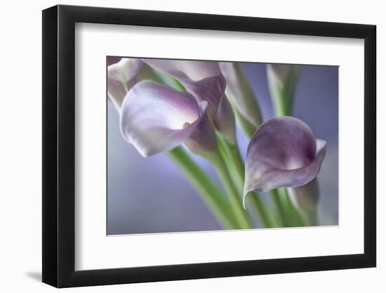 Kala-Heidi Westum-Framed Photographic Print