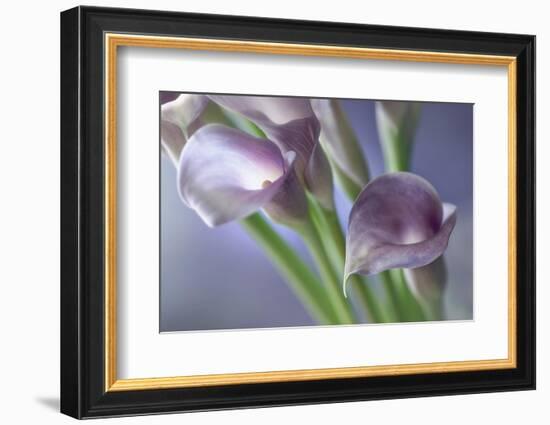 Kala-Heidi Westum-Framed Photographic Print