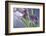 Kala-Heidi Westum-Framed Photographic Print