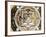 Kalachakra, the Wheel of Time on Thangka, Bhaktapur, Nepal, Asia-Godong-Framed Photographic Print