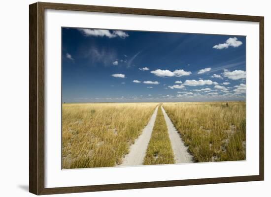 Kalahari Desert Track, Magadikgadi Pans National Park, Botswana-Paul Souders-Framed Photographic Print