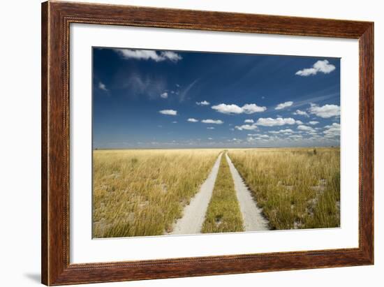 Kalahari Desert Track, Magadikgadi Pans National Park, Botswana-Paul Souders-Framed Photographic Print