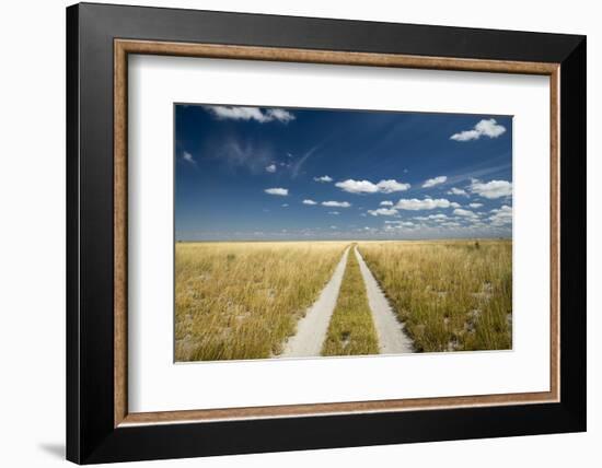 Kalahari Desert Track, Magadikgadi Pans National Park, Botswana-Paul Souders-Framed Photographic Print