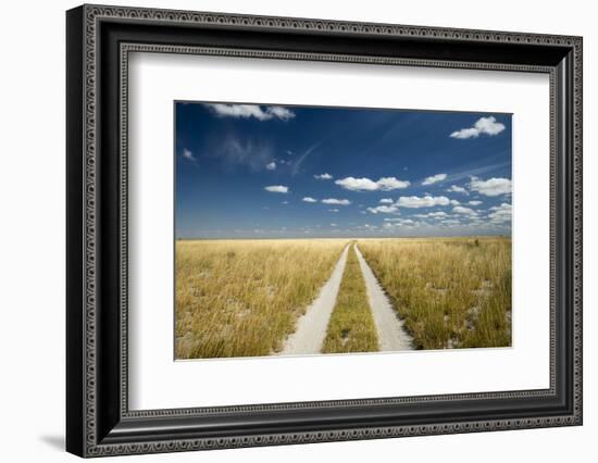 Kalahari Desert Track, Magadikgadi Pans National Park, Botswana-Paul Souders-Framed Photographic Print