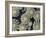 Kalahari-Irene Suchocki-Framed Giclee Print