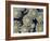 Kalahari-Irene Suchocki-Framed Giclee Print