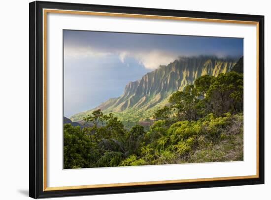 Kalalau Lookout over the Napali Coast from the Kokee State Park-Michael Runkel-Framed Photographic Print