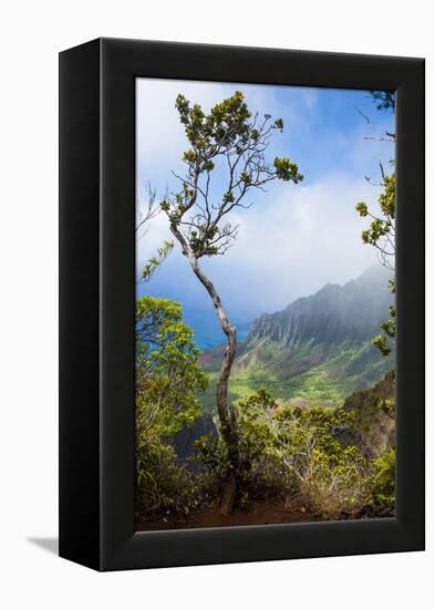 Kalalau Lookout over the Napali Coast from the Kokee State Park-Michael Runkel-Framed Premier Image Canvas