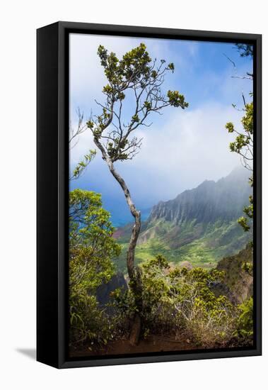 Kalalau Lookout over the Napali Coast from the Kokee State Park-Michael Runkel-Framed Premier Image Canvas