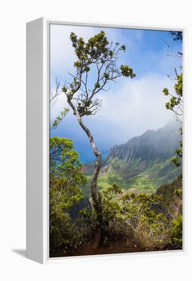 Kalalau Lookout over the Napali Coast from the Kokee State Park-Michael Runkel-Framed Premier Image Canvas